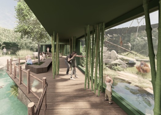 Vizualizace cest pro návštěvníky podél venkovní expozice nového pavilonu orangutanů.