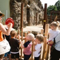 Zootourgruppe vor der Elefantenanlage