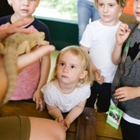 Kinder beobachten gespannt ein Reptiel