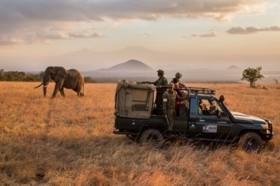 Ranger überwachen die Tiere in Afrika