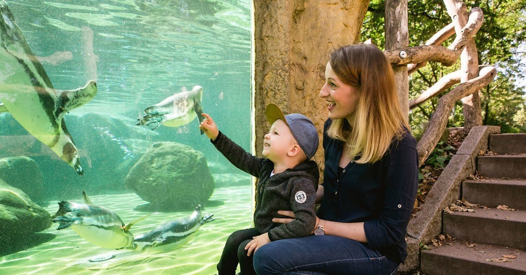 Mama mit Kind vor der Pinguinanlage