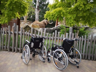 Wheelchairs outside elephant enclosure.