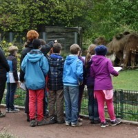 Zooschulgruppe vor einem Tiergehege