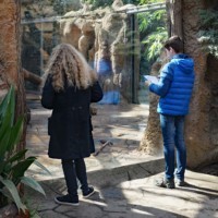 Zooschüler im Afrika Haus