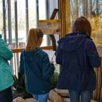 Zooschüler vor der Gundi-Anlage