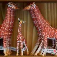 Schleichtiere im Zooshop