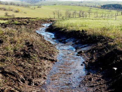 natürliches Flussbett im Osterzgebirge