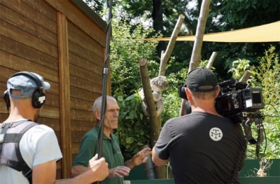 Elefant, Tiger und Co. bei Dreharbeiten im Zoo Dresden