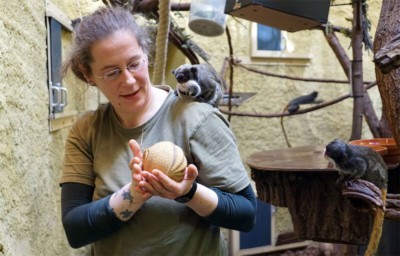 Tierpflegerin Katrin Schmidt mit Kugelgürtelnachwuchs Brosche