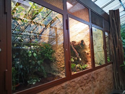 Die Rahmen der Terrarien wurden neu gestrichen