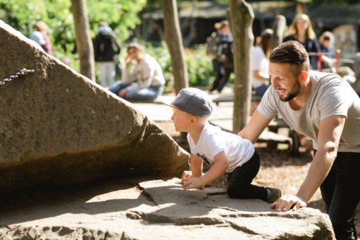 Boy climbing at the Meerkat playground