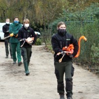 Unsere Mitarbeiter tragen die Flamingos unterm Arm
