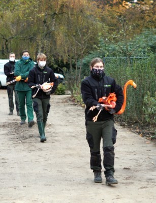 Unsere Mitarbeiter tragen die Flamingos unterm Arm
