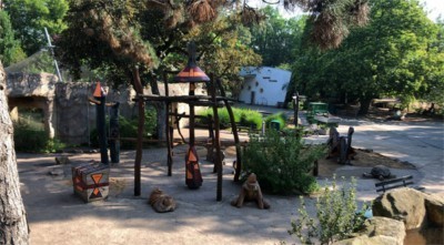 Wasserspielplatz (Foto: Zoo Dresden) Wasserspielplatz
