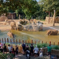 Elephant enclosure