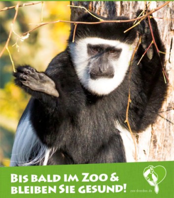 Plakat mit Guereza und Informationen zur Zooschließung