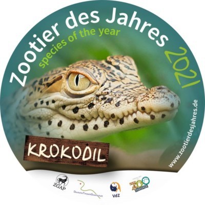 Logo Zootier des Jahres 2021 Krokodil