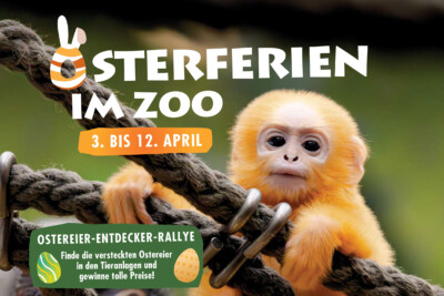 Bild-Ostern_Veranstaltung