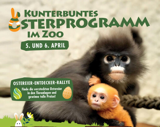 Ostersonntag-Programm