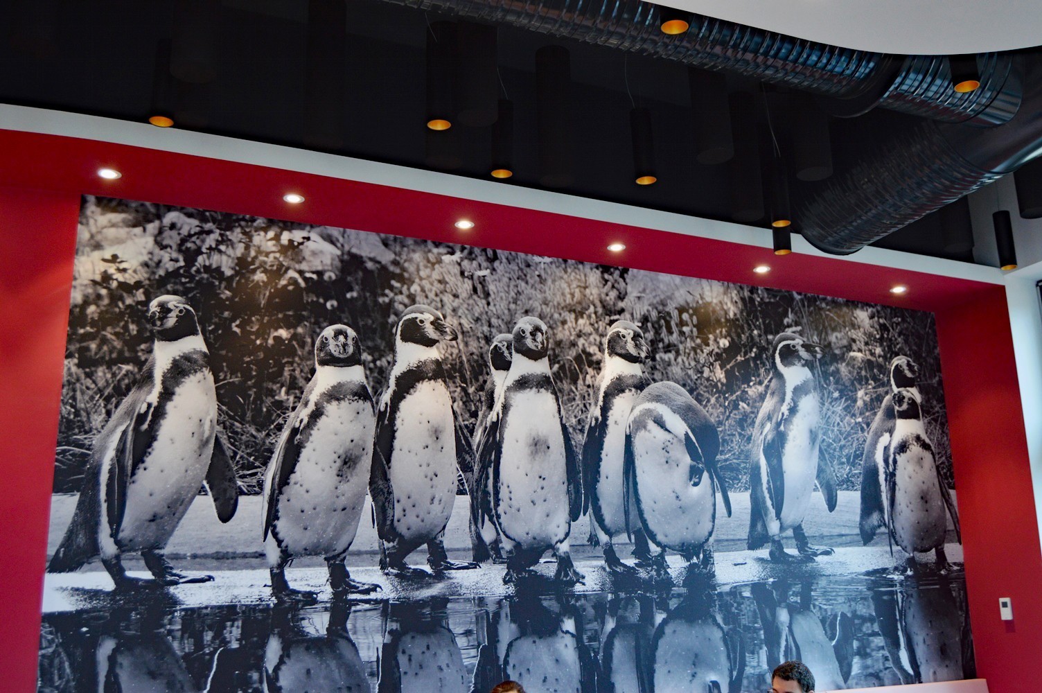 Pohled na interiér Pinguin Café.