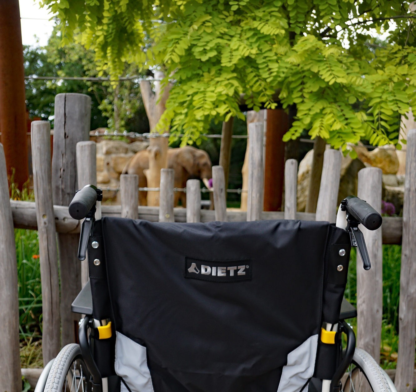 Wheelchair outside elephant enclosure.