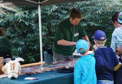 Zoobesucher am Aktionsstand mit Tierexponaten (Foto: Zoo Dresden) Zoobesucher am Aktionsstand mit Tierexponaten