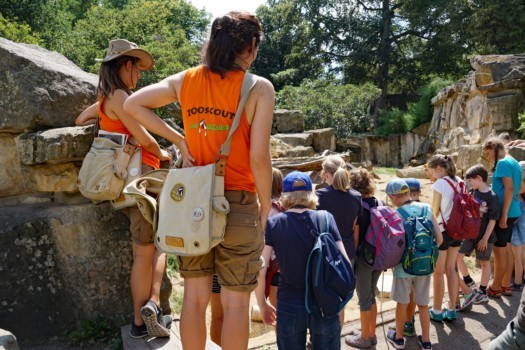 Zooscout mit einer Gruppe vor der Erdmännchenanlage