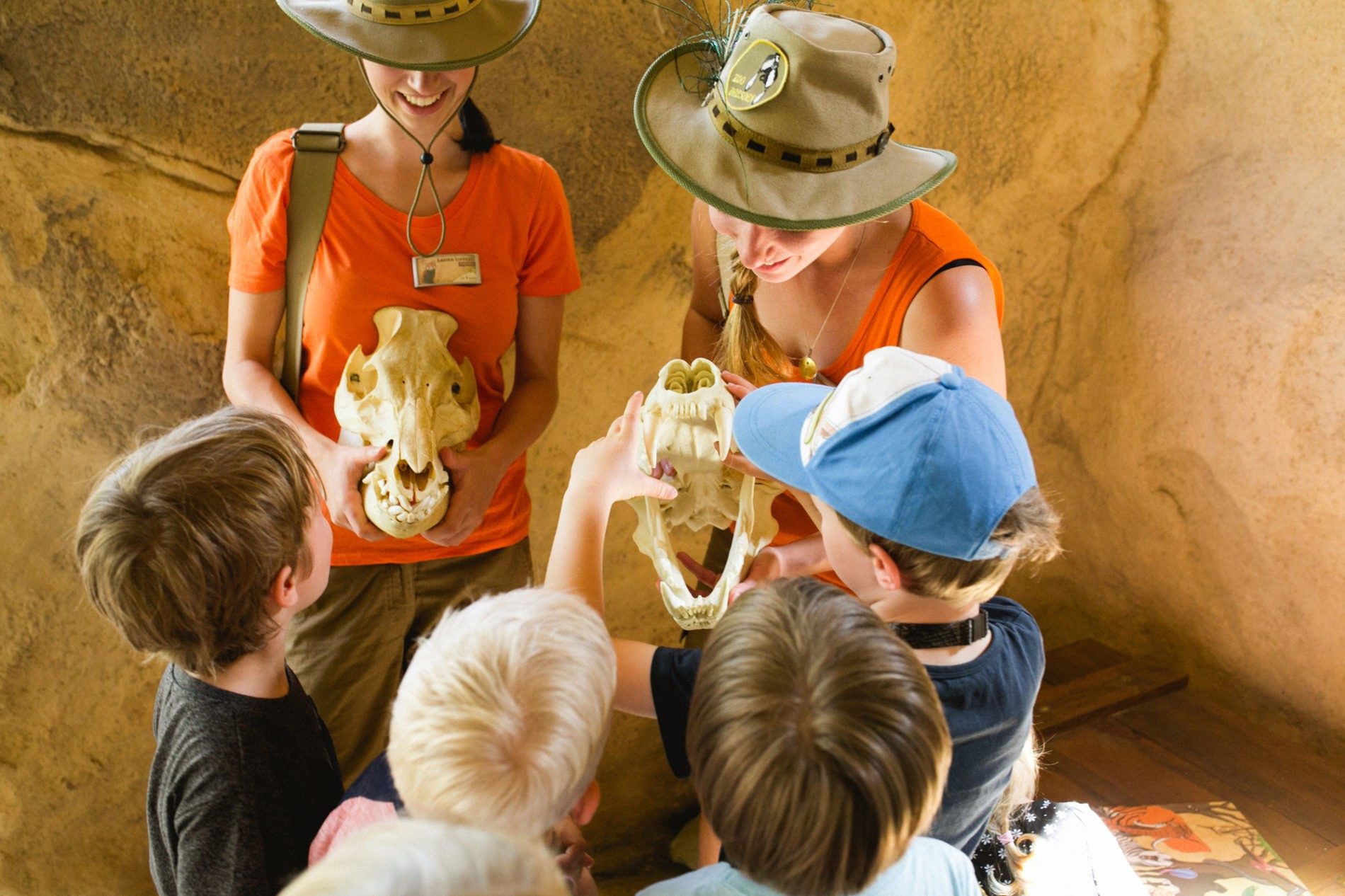 Zooscouts zeigen den Teilnehmern einer Tour spannende Exponate