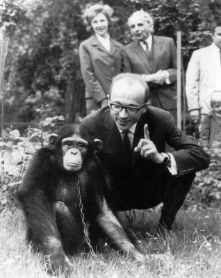 Zoodirektor Prof. Ullrich mit einem Schimpansen