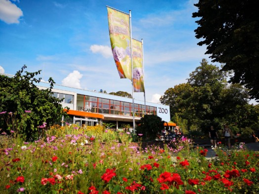Zooeingang (Foto: Zoo Dresden) Zooeingang