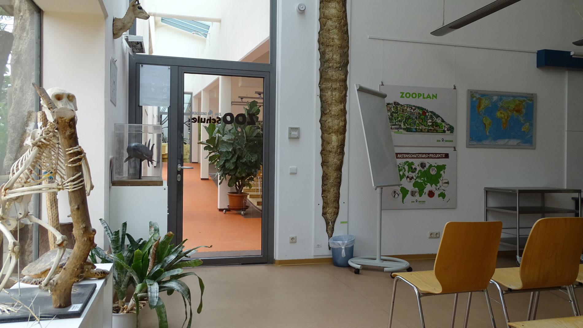 Blick aus der Zooschule ins Auditorium