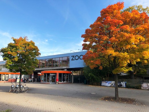 Zooeingang im Herbst