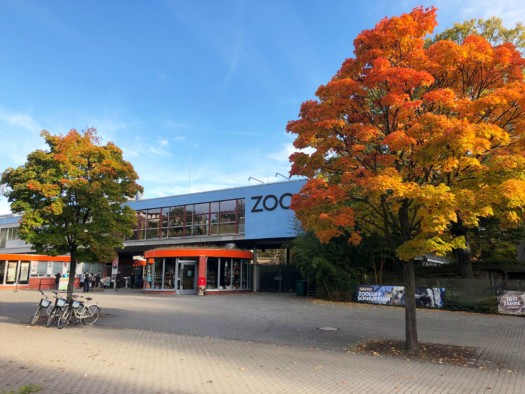 Zooeingang im Herbst (Zoo Dresden (Kerstin Eckart)) Zooeingang im Herbst