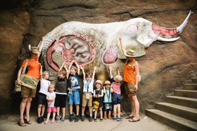 Kindergeburtstagstour im Zoo Dresden mit Zooscouts