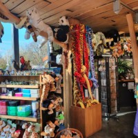 Einblick in den Zoo-Shop