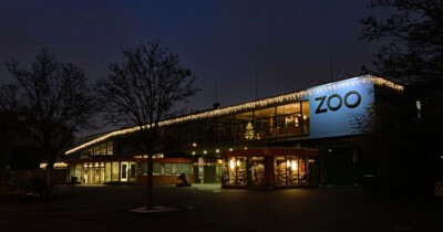 Zooeingang mit weihnachtlicher Beleuchtung. (Foto: Zoo Dresden) Zooeingang mit weihnachtlicher Beleuchtung.