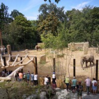 Neue Elefantenaußenanlage