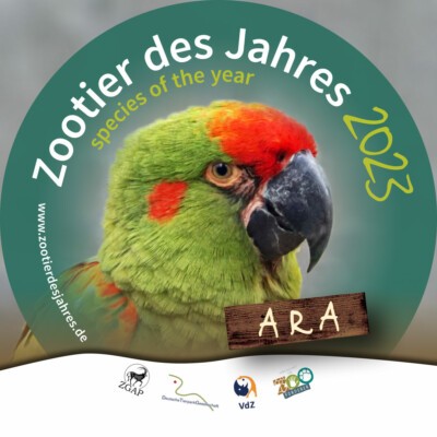 Ara ist Zootier des Jahres 2023