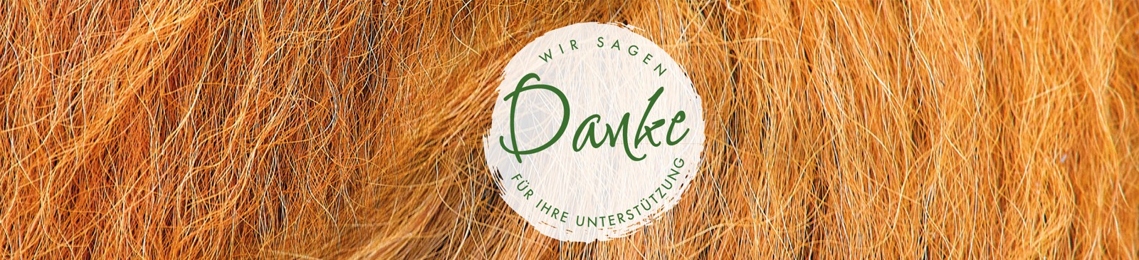 Titelbild_Dankeschönfest