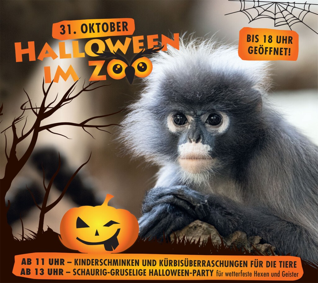 Halloween_02_Plakat Halloween im Zoo Dresden