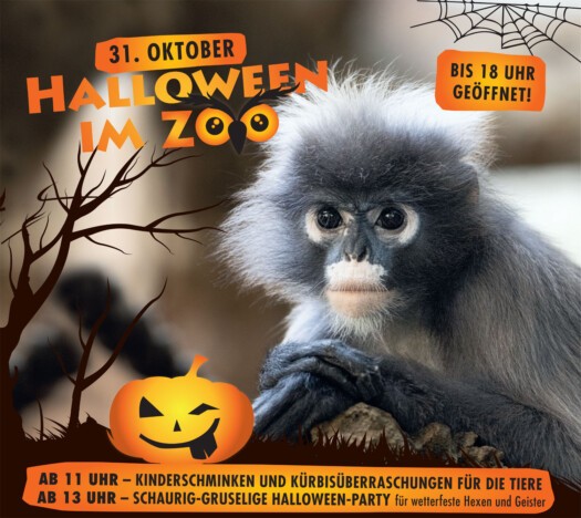 Halloween im Zoo Dresden