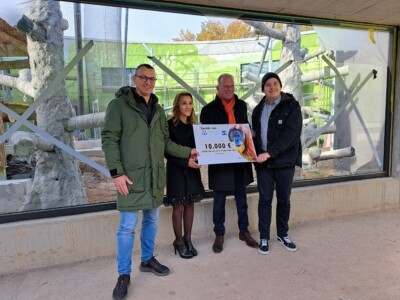 v.l.n.r.: Daniel Schieck (Leiter HSEQ Wittur Electric Drives GmbH), Sevincli Ayperi (Global Sustainability Manager Wittur-Gruppe), Karl-Heinz Ukena (Zoo Dresden), Kristof Ahnert (Betriebsratsmitglied Wittur Electric Drives GmbH).