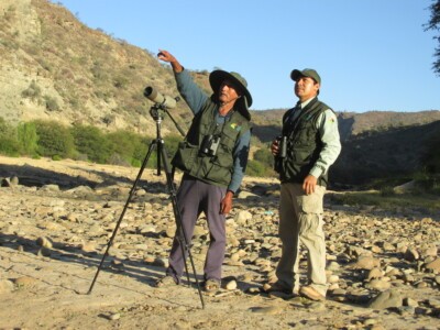 Mitglieder von Armonia beim Beobachten der Vögel