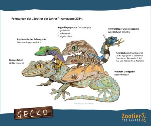 Fokusarten Zootier des Jahres 2024
