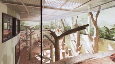 Innenanlage im Orang-Utan-Haus im Zoo Dresden