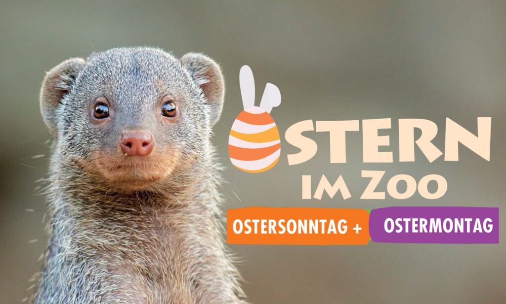 Anzeige Ostersonntag Ostermontag Zoo Dresden