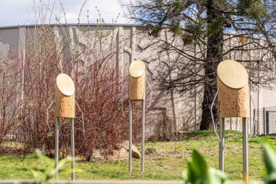 BienenBrückenBauen Kunstwerk Wandler im Sonnenlicht