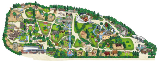 Zooplan_einzeln_2026_NEU Zooplan 2026