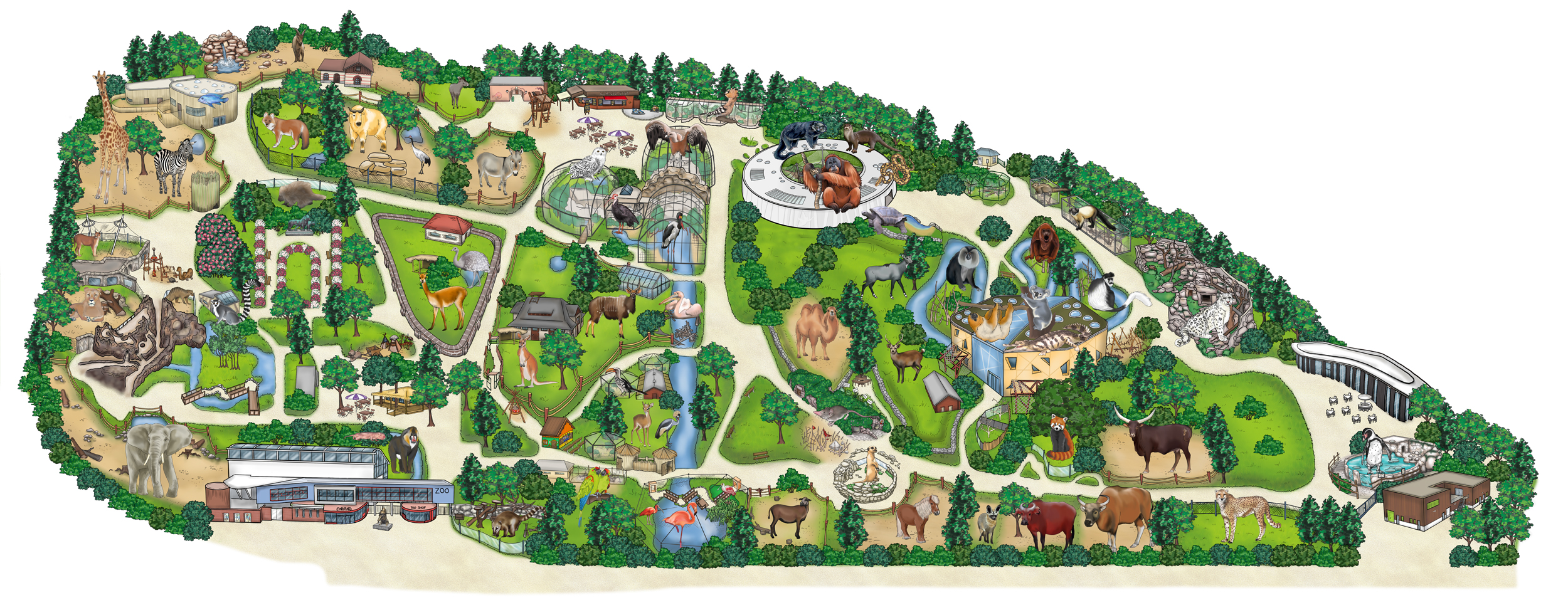 Zooplan_einzeln_2026_NEU Zooplan 2026